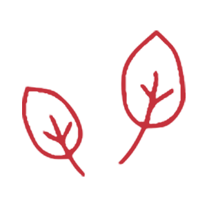 icon leaf