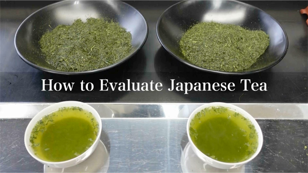 japanesetea